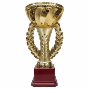 trophy cup 1