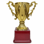 trophy cup 6
