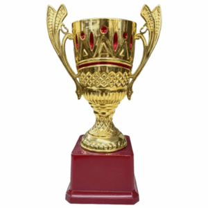 trophy cup 7